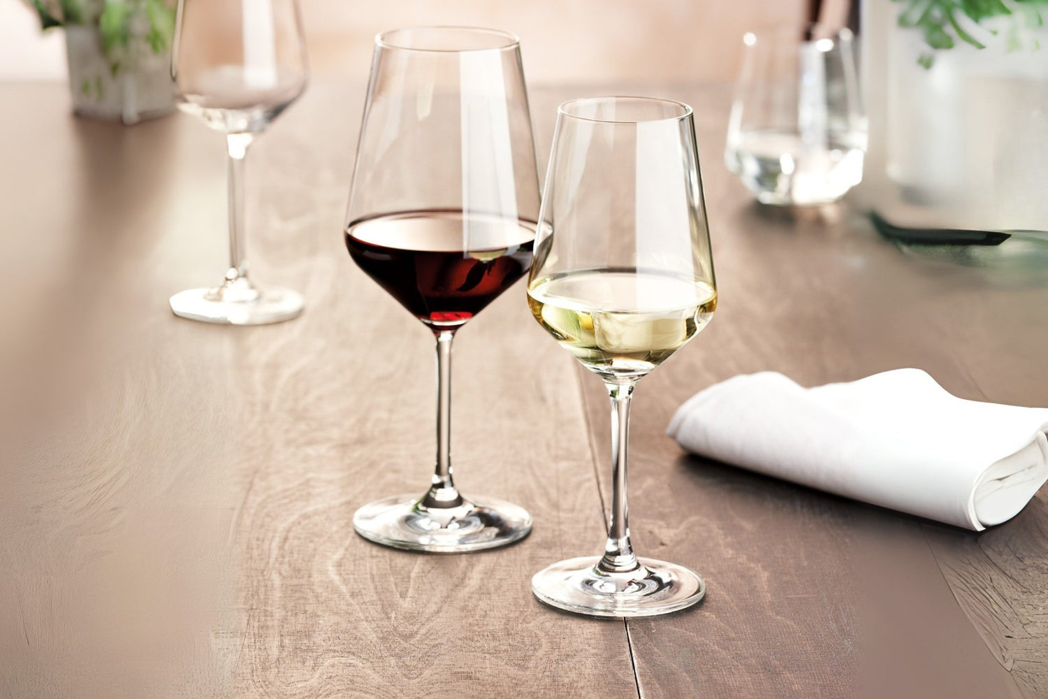 Wein- und Sektgläser